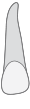 d10