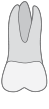 d14
