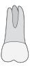 d2