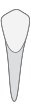 d27