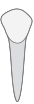 d29