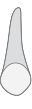 d5